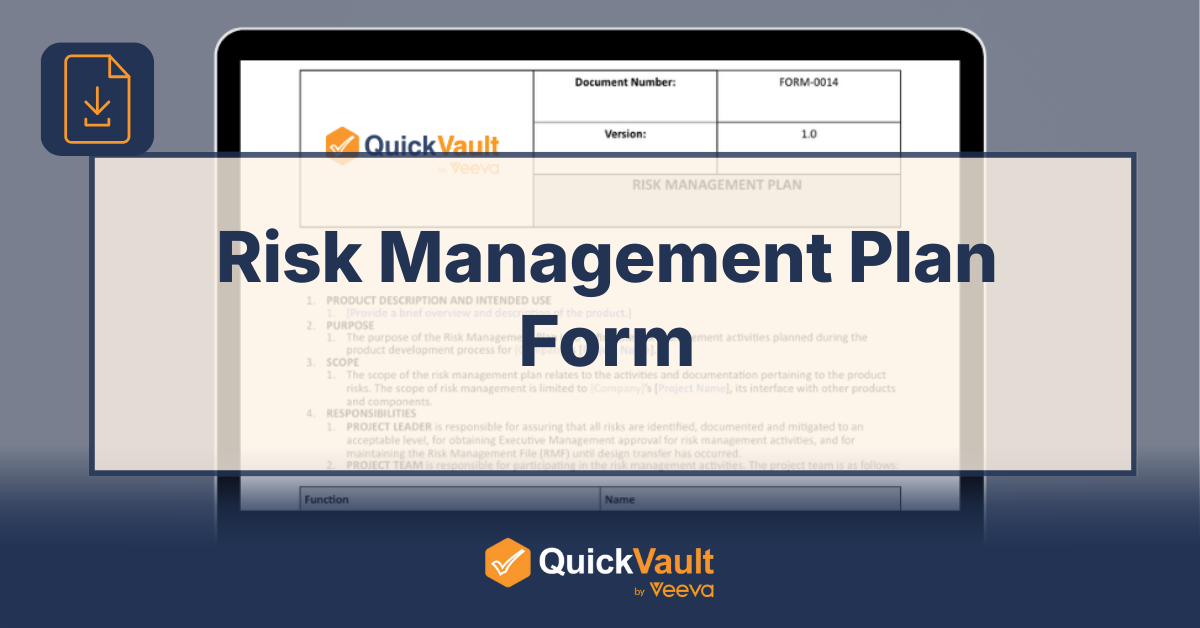 Risk Management Plan Form - download